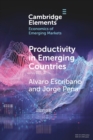Productivity in Emerging Countries : Methodology and Firm-Level Analysis based on International Enterprise Business Surveys - Book