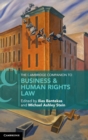 The Cambridge Companion to Business and Human Rights Law - Book