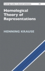 Homological Theory of Representations - Book