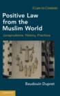Positive Law from the Muslim World : Jurisprudence, History, Practices - Book