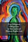 Due Diligence Obligations in International Human Rights Law - eBook