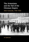 Armenians and the Fall of the Ottoman Empire : After Genocide, 1918-1923 - eBook