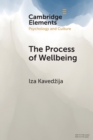 The Process of Wellbeing : Conviviality, Care, Creativity - Book