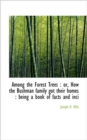 Among the Forest Trees : Or, How the Bushman Family Got Their Homes: Being a Book of Facts and Inci - Book