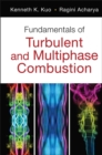 Fundamentals of Turbulent and Multiphase Combustion - eBook