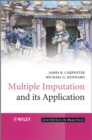 Multiple Imputation and its Application - eBook