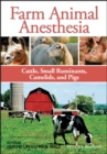 Farm Animal Anesthesia : Cattle, Small Ruminants, Camelids, and Pigs - Book