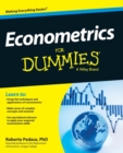 Econometrics For Dummies - Book