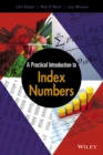 A Practical Introduction to Index Numbers - eBook