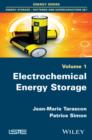 Electrochemical Energy Storage - eBook