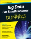 Big Data For Small Business For Dummies - Book