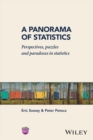 A Panorama of Statistics : Perspectives, Puzzles and Paradoxes in Statistics - eBook