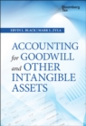 Accounting for Goodwill and Other Intangible Assets - Book