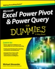 Excel Power Pivot & Power Query For Dummies - eBook