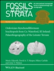 Ordovician rhynchonelliformean brachiopods from Co. Waterford, SE Ireland : Palaeobiogeography of the Leinster Terrane - eBook