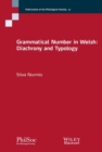 Grammatical Number in Welsh : Diachrony and Typology - Book