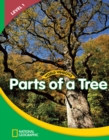 World Windows 1 (Science): Parts Of A Tree : Content Literacy, Nonfiction Reading, Language & Literacy - Book