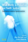 What Works in Probation and Youth Justice - eBook