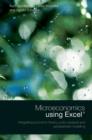 Microeconomics using Excel : Integrating Economic Theory, Policy Analysis and Spreadsheet Modelling - eBook