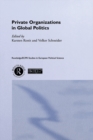 Private Organisations in Global Politics - eBook