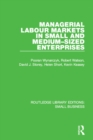 Managerial Labour Markets in Small and Medium-Sized Enterprises - eBook