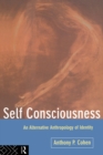 Self Consciousness : An Alternative Anthropology of Identity - eBook