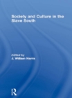 Society and Culture in the Slave South - eBook