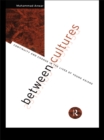 Between Cultures : Continuity and Change in the Lives of Young Asians - eBook