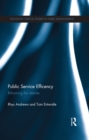 Public Service Efficiency : Reframing the Debate - eBook