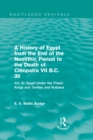 A History of Egypt from the End of the Neolithic Period to the Death of Cleopatra VII B.C. 30 (Routledge Revivals) : Vol. VI: Egypt Under the Priest-Kings and Tanites and Nubians - eBook