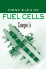 Principles of Fuel Cells - eBook