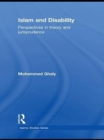 Islam and Disability : Perspectives in Theology and Jurisprudence - eBook