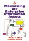 Maximizing The Enterprise Information Assets - eBook