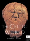 The Celtic World - eBook