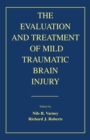 The Evaluation and Treatment of Mild Traumatic Brain Injury - eBook