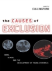 The Causes of Exclusion : Home, School and the Development of Young Criminals - eBook