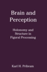 Brain and Perception : Holonomy and Structure in Figural Processing - eBook