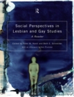 Social Perspectives in Lesbian and Gay Studies : A Reader - eBook