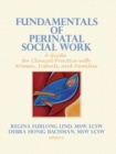 Fundamentals of Perinatal Social Work : A Guide for Clinical Practice with Women, Infants, and Families - eBook