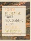 A Guide to Creative Group Programming in the Psychiatric Day Hospital - eBook