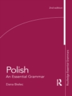 Polish: An Essential Grammar - eBook