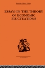 Essays in the Theory of Economic Fluctuations - eBook