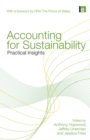 Accounting for Sustainability : Practical Insights - eBook