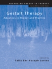 Gestalt Therapy : Advances in Theory and Practice - eBook