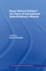 Peace without Politics? Ten Years of State-Building in Bosnia - eBook