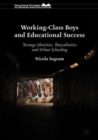 Working-Class Boys and Educational Success : Teenage Identities, Masculinities and Urban Schooling - eBook