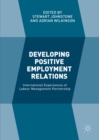 Developing Positive Employment Relations : International Experiences of Labour Management Partnership - eBook