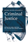 Beyond the Risk Paradigm in Criminal Justice - Book