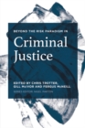 Beyond the Risk Paradigm in Criminal Justice - eBook