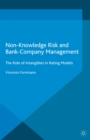 Non-Knowledge Risk and Bank-Company Management : The Role of Intangibles in Rating Models - eBook
